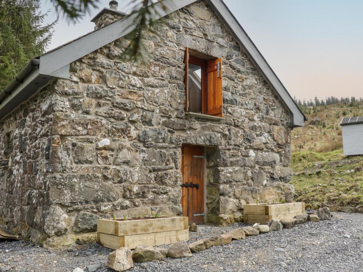 Brithgwm Canol Dolgellau Exterior foto